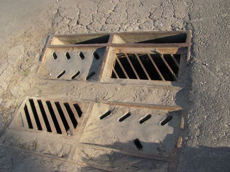 65742936 2329356533838207 2417561967645425664 n