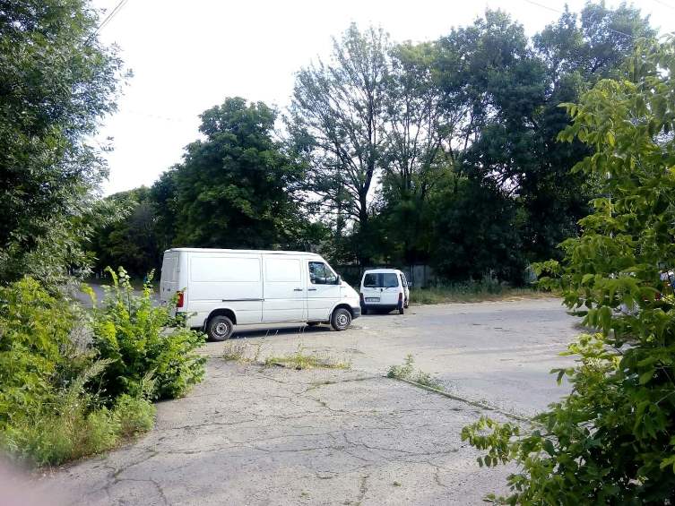 66264905 741540832927390 7703460020779745280 n