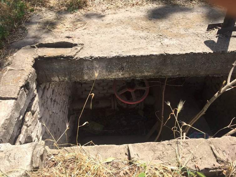 66332520 2371316496490502 4217896251061960704 n