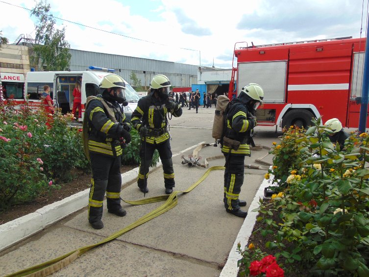 66669314 619295045229453 8856358323973259264 o