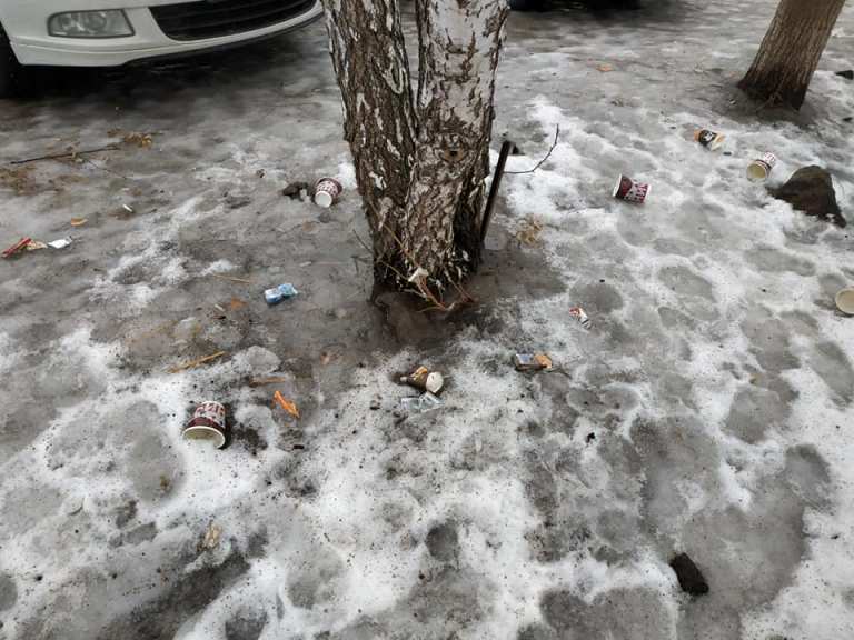 50599268 1191004594392580 6180767198064148480 n