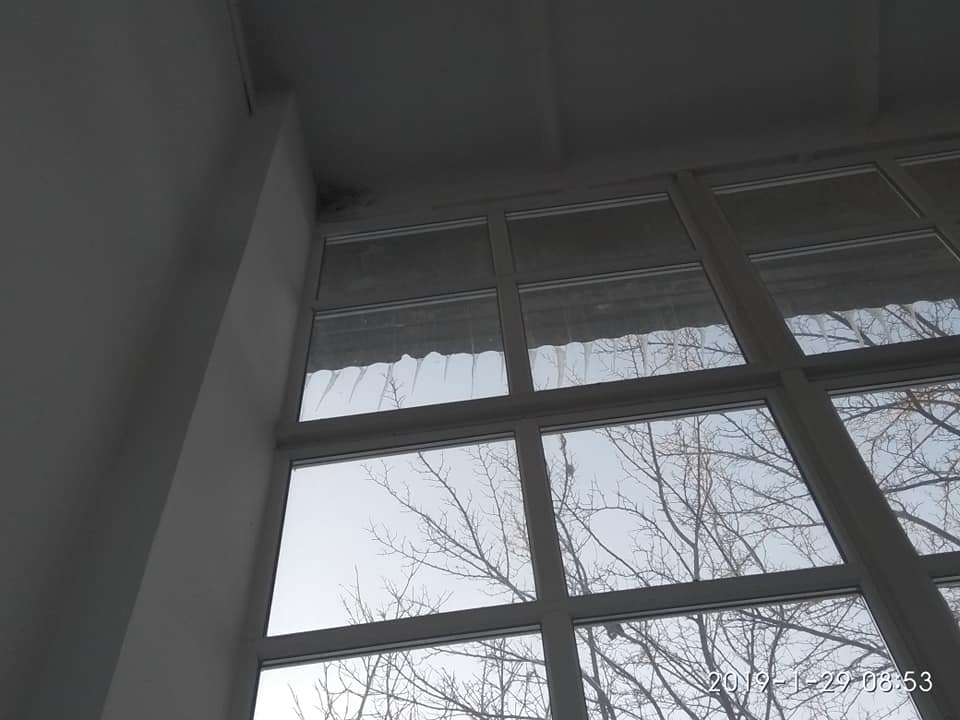 51026350 807977639578756 1264658802548932608 n