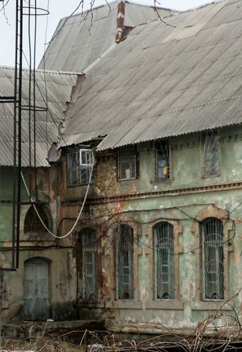 51493017 788901984800284 388916529967661056 n