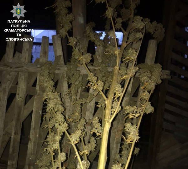 51920766 2201623329858049 4503287361773240320 n