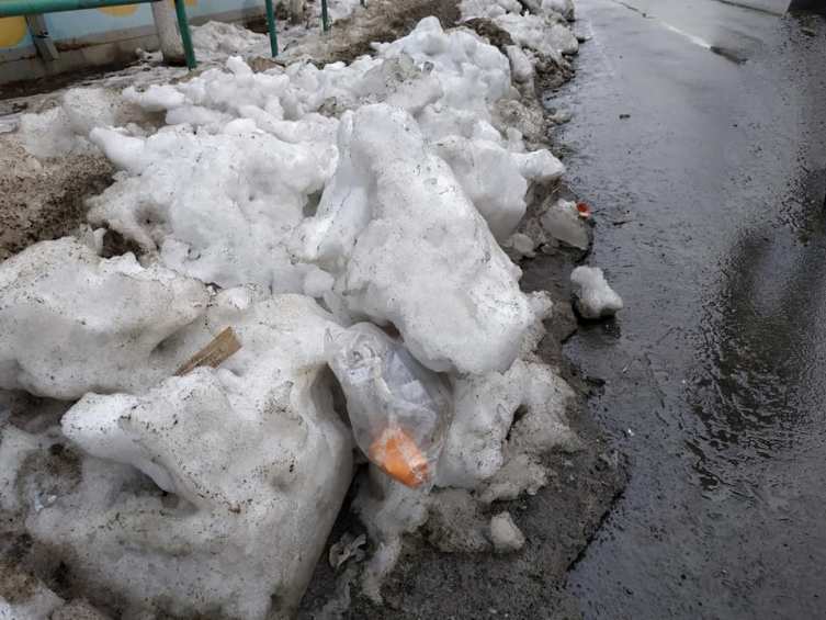 51947606 1199084400251266 8192749884915318784 n