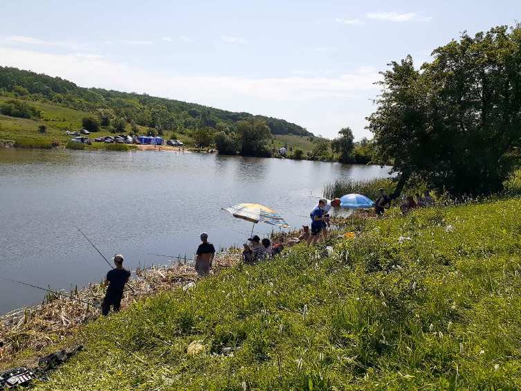 61651294 772296819839548 462656174932623360 o