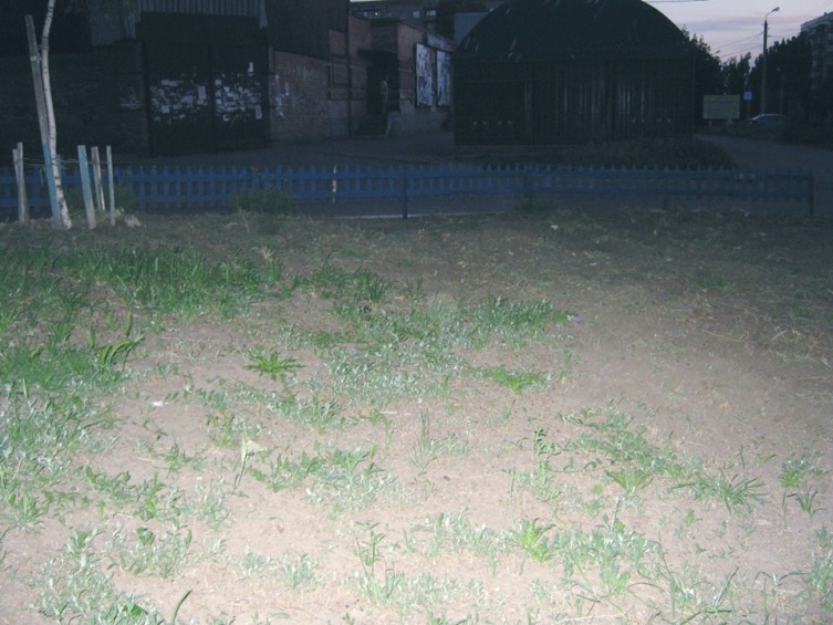 61837029 1671926222951078 4659440643100114944 n