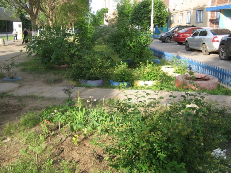 61840270 1671925759617791 5130386654669832192 n