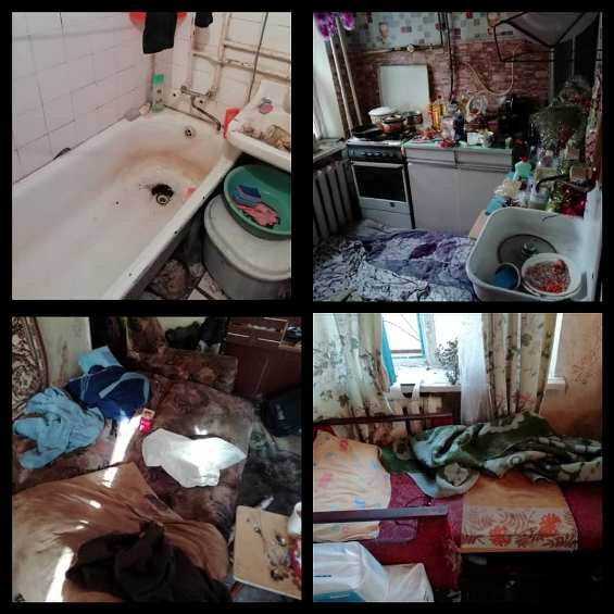 62351415 482752899131353 2780051958977789952 n