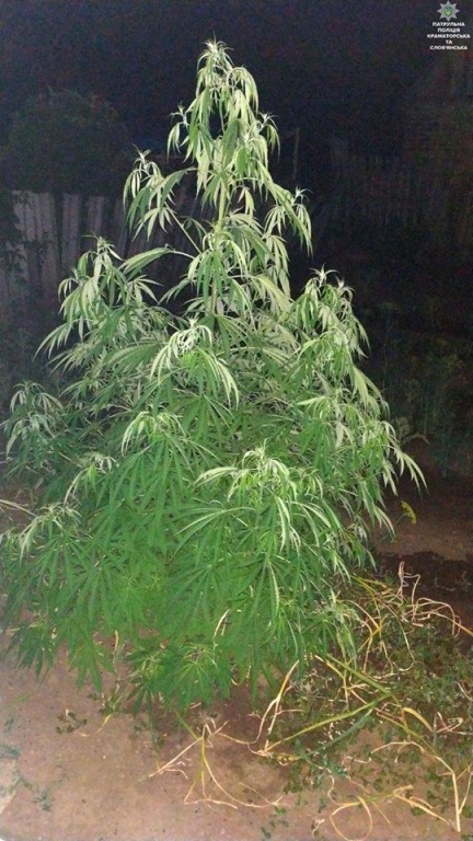 65002957 2417193324967714 8372291161544458240 n