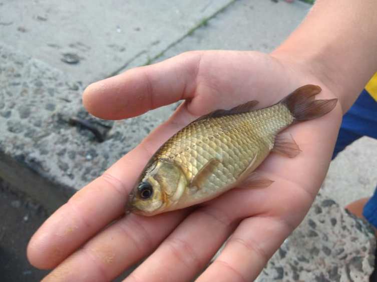 67788798 2432860126773717 6979945180308701184 n