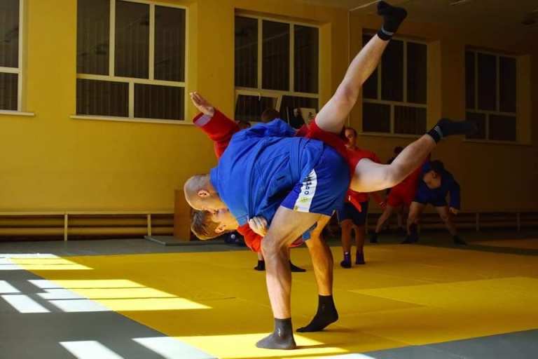 68466504 2384824228403409 4909582944328220672 n