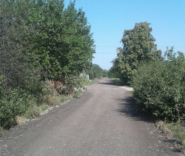 68629666 826828064386423 6028772132274569216 n