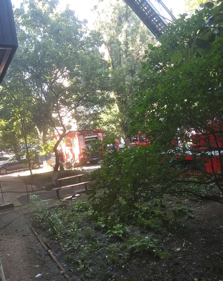 239126451 612369559753655 8614497884955169936 n