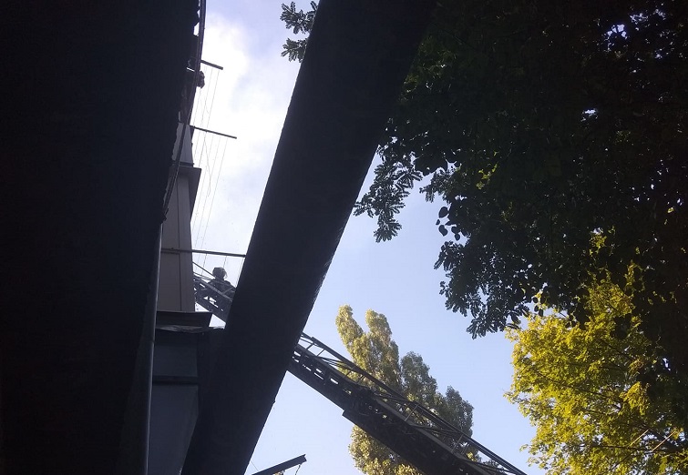 239987301 300531901846888 3973540617412770929 n