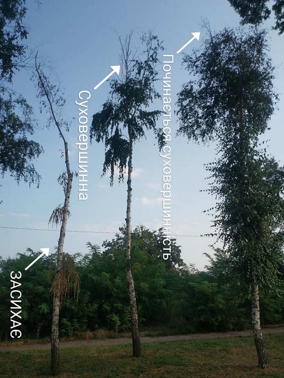 240120967 333589715131580 6350260288200079112 n