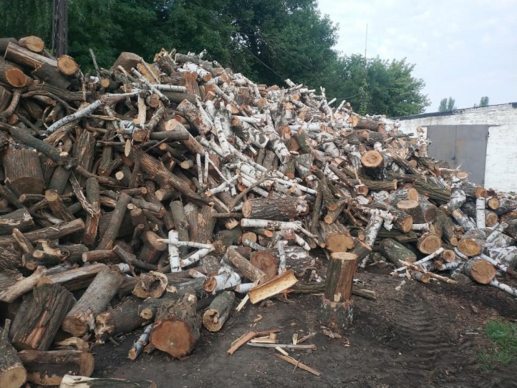 240163215 333589978464887 3506227797559951032 n