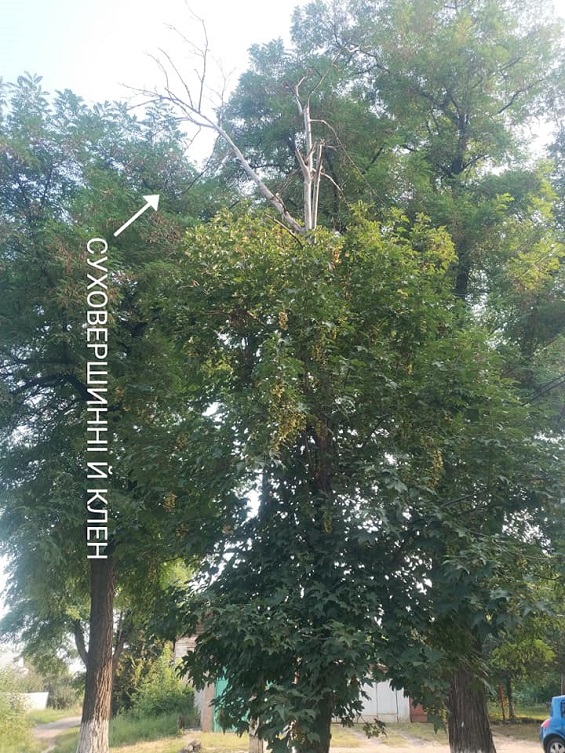 240586461 333589755131576 5279525078532071246 n