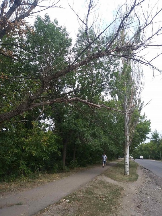kramatorsk avariini dereva 4 768x1024