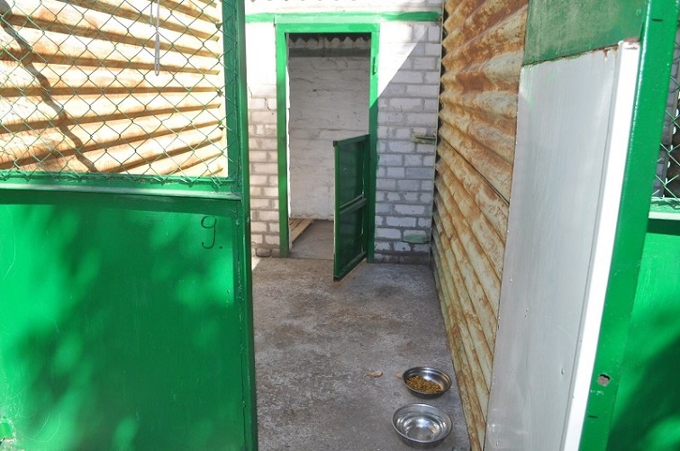 kramatorsk vetklinika 1