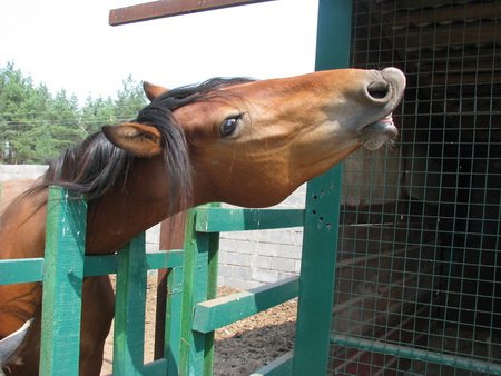 Фото от Дарьи Завгородней