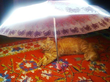 Фото от Анастасии Луниной