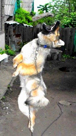 Фото от Наты Кисловской