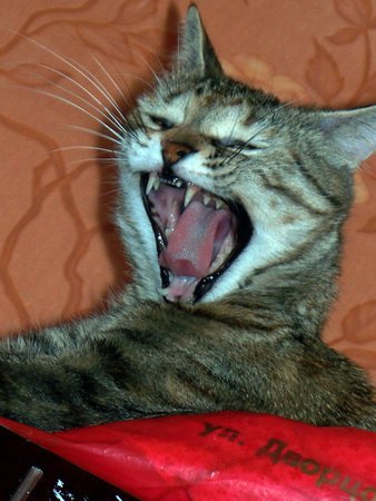 Фото от Ростовского Даниила