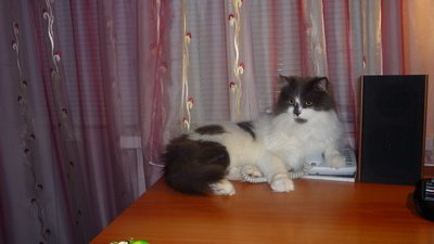 Фото от Кристины Жомерук