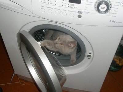 Фото от Татьяны