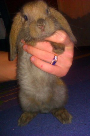 Фото от Назара Прокопенко