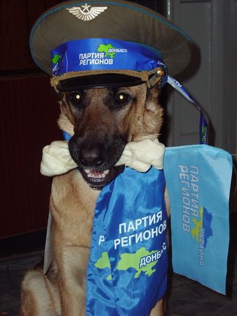 Светлана Головчак