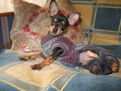 Маргарита Охрименко