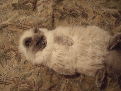 Вото от Фомкиной Натальи