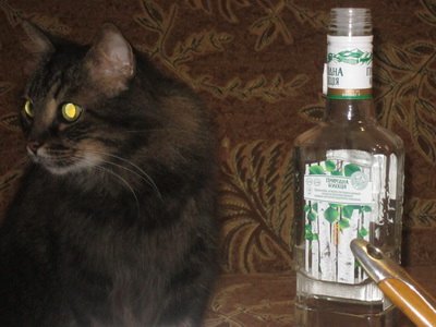 Светлана Пасько