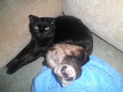 фото от Рудь Яны