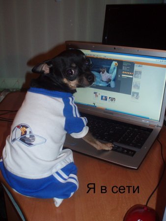 Фото от Slavia