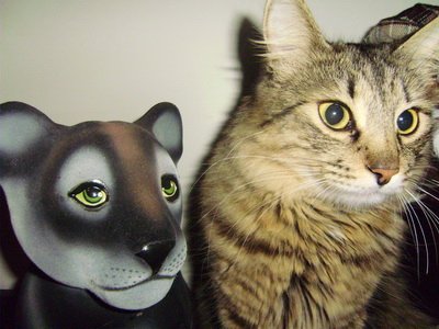 Ковалёва Наталья