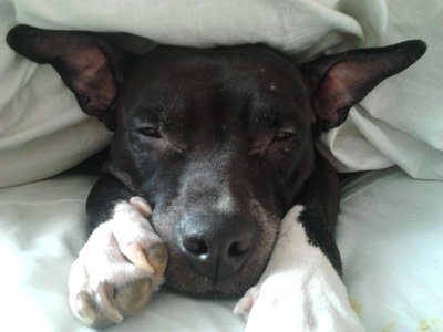 Фото от Алины