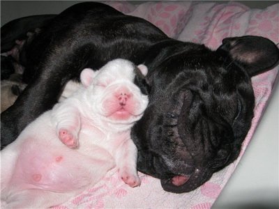 Фото от Юлии Гладковой