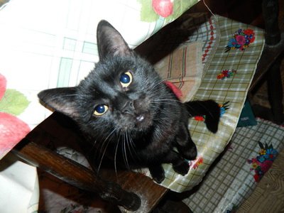 Фото от Анны