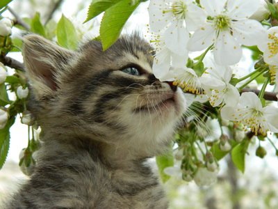 Фото от Максима