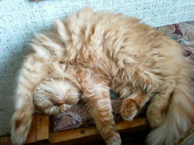 Фото от Димы