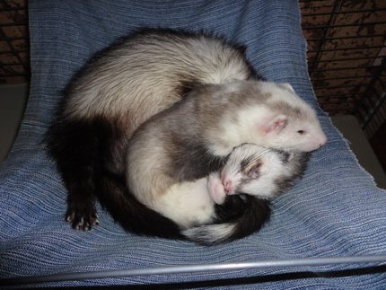 Фото от Александра