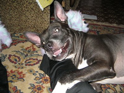 Фото от Юлии