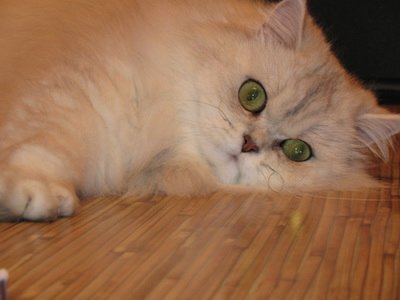 Фото от Кати