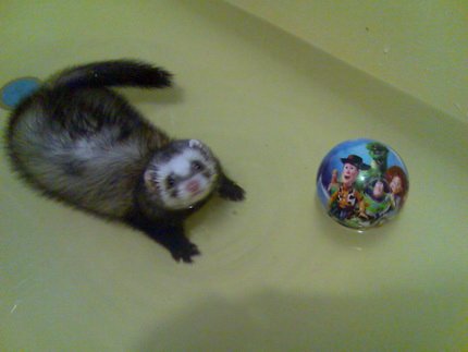 Фото от Андрея