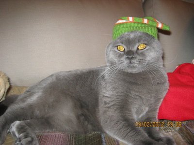 Фото от Ангелины