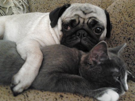 Фото от Валерия