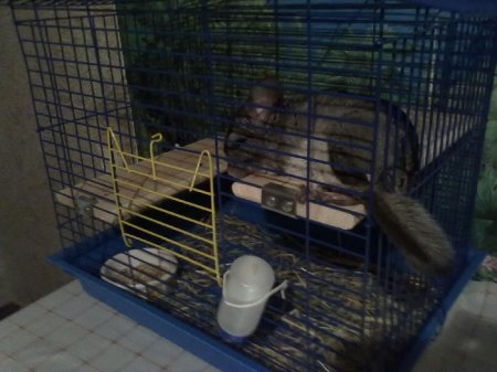 Фото от Евгения